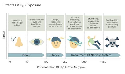 H2s Monitoring Know About Hydrogen Sulphide Oizom