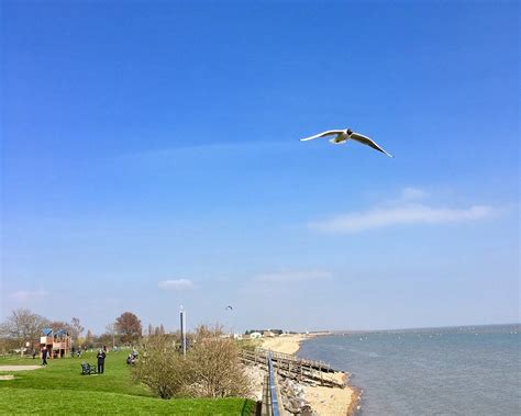 THE 15 BEST Things to Do in Southend-on-Sea (2025)