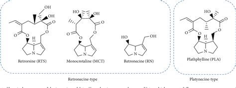 Table 1 From Toxic Prediction Of Pyrrolizidine Alkaloids And Structure Dependent Induction Of