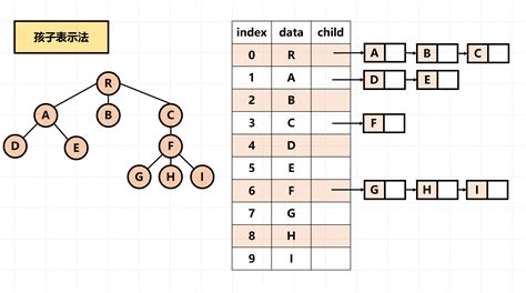 图解 数据结构：树的存储结构 知乎