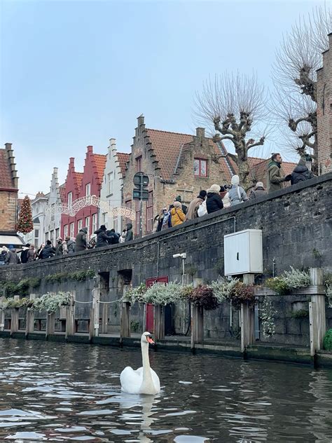 Brugge, Belgium 🇧🇪 in 2025 | Europe destinations, Winter vacation