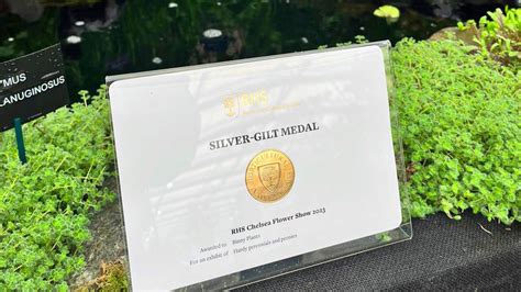 RHS Chelsea Flower Show 2023 News Gardens By Water Gems