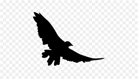 Free Hawk Flying Silhouette, Download Free Hawk Flying Silhouette png ...