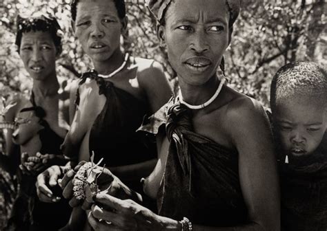 Bushmen Women Collecting Caterpillars In The Kalahari Desert Par