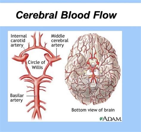 Increased Intracranial Pressure Flashcards Quizlet