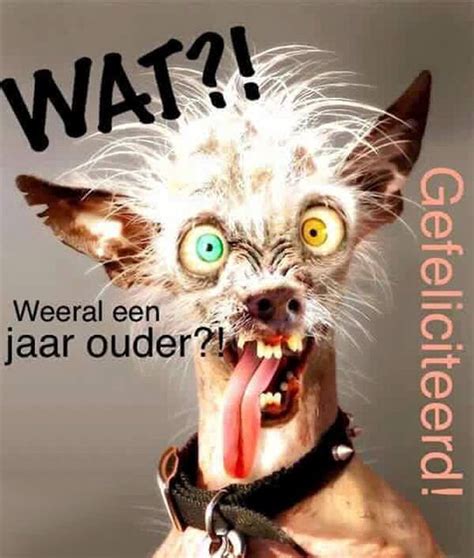 Hartelijk Gefeliciteerd Grappig Verjaardag Man Humor Tip De Beste