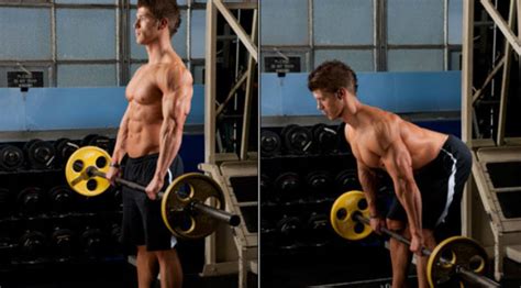 muscle building training training rxbodybuilderscom