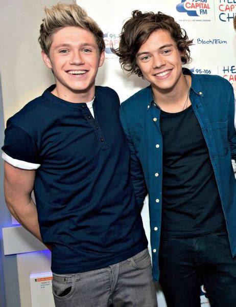 Niall And Harry Niall Horan Photo 36340983 Fanpop