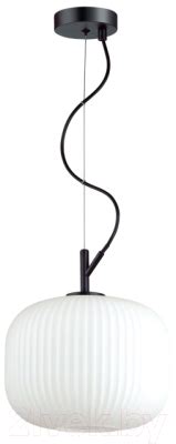 Odeon Light Roofi 4753/1 Потолочный светильник купить в Минске, Гомеле ...