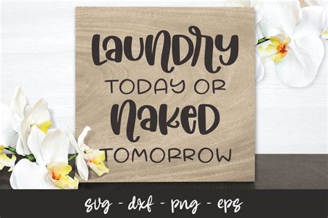 Laundry Today Or Naked Tomorrow Laundry SVG