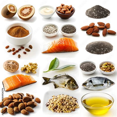 Understanding The Health Benefits Of Omega 3 Visual Guide To Omega 3