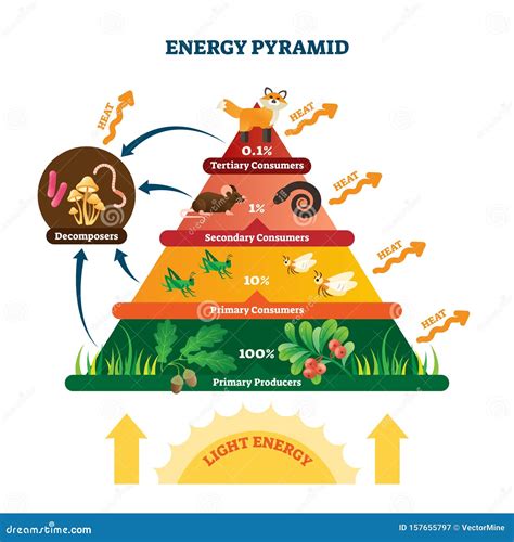 Biomass Examples