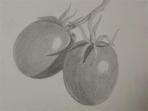 Fruit Pencil Drawing at GetDrawings | Free download