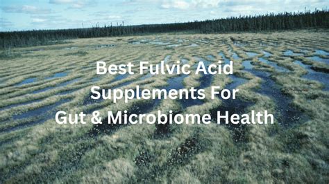 3 Best Fulvic Acid Supplements For Gut And Microbiome Health In 2024