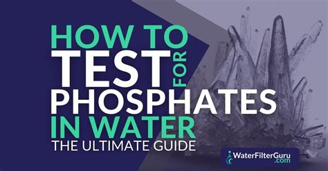 Water Filter Guru — How To Test For Phosphate In Water Year