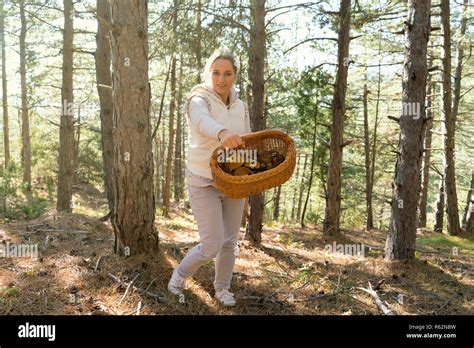 Mushrooming Woman Picking Mushrooms In The Forest Stock Photo Alamy