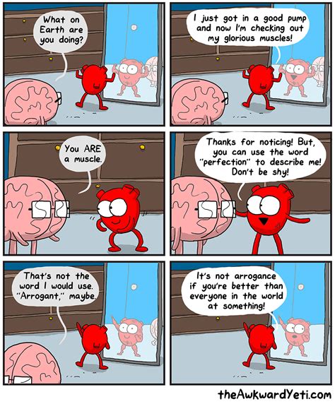 Cardiac Muscle Awkward Yeti Heart Vs Brain Funny Doodles