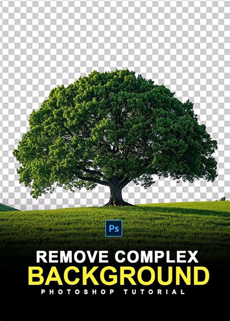 The Easy Way Remove Complex Background In Photoshop Photoshop Shorts Tutorial Youtube