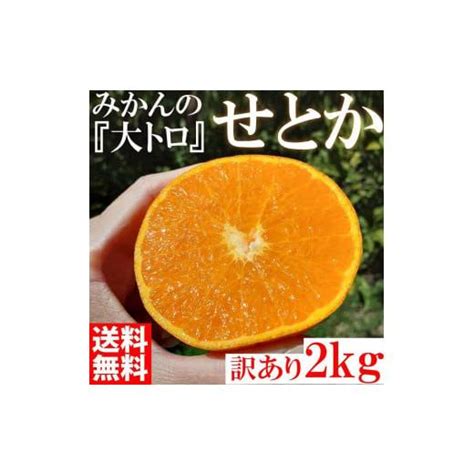 ふるさと納税 和歌山県 有田川町 みかん の大トロ せとか 2kg 訳あり ブランド 和歌山 有田みかん 農家直送 オレンジ フルーツ 果物