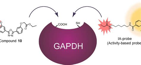 Covalent Modifiers: Discovery of Non-Cysteine-Targeting Covalent ... 
