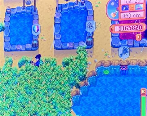 Stardew Valley Fish Pond Guide (contains spoilers for 1.5 content) : r ...