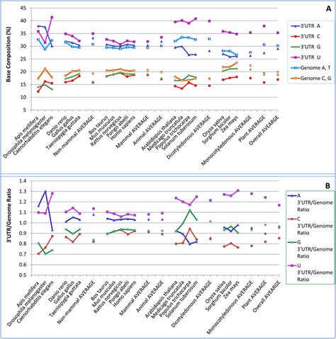 RNA Base Compositions Of The Three Prime Untranslated Region 3UTR