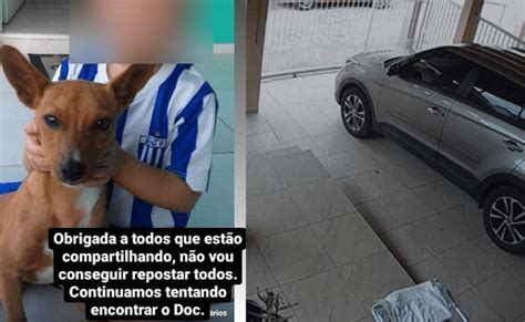 Vizinho é suspeito de roubar espancar e abandonar cachorro em