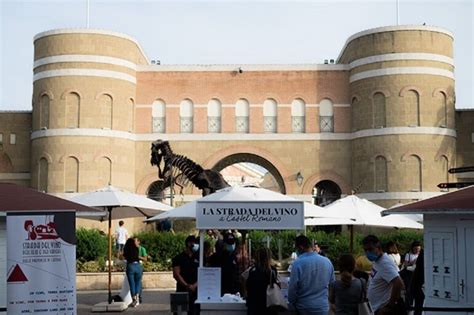 La Strada Del Vino A Castel Romano Designer Outlet Romeing