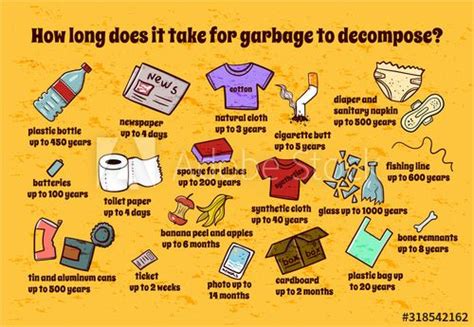 How Long Does It Take Garbage To Decompose Vector Ecology Poster For