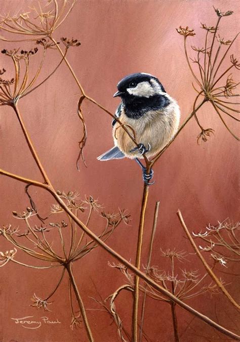 Galleries Jeremy Paul Wildlife Artist Wildlife Artists Birds