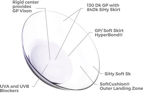 Synergeyes Lenses Spectrum International