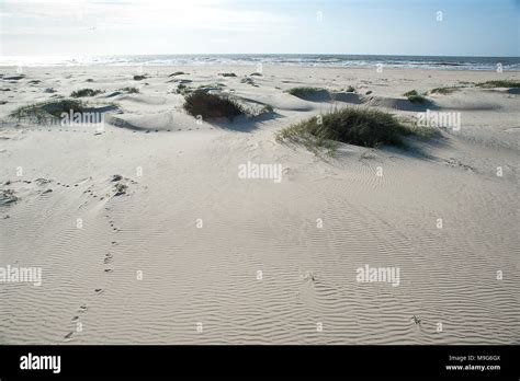 Matagorda bay beach hi-res stock photography and images - Alamy