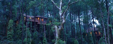 13 Gorgeous Luxury Resorts Near Bangalore For A Special Occasion