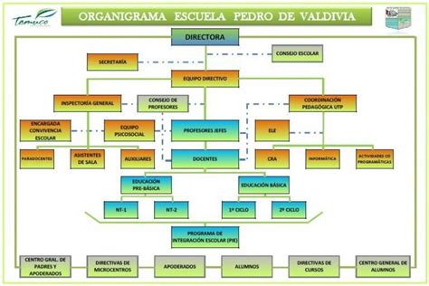 Organigrama Escuela Pedro De Valdivia Organigrama Organigrama De