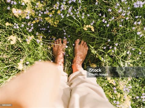 Barefoot Feet Grounding In Summer Grass Outdoors In Nature Stock Photo ...