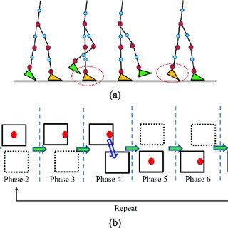 Biped robot walking pattern. (a). The biped robot walking pattern (b ...