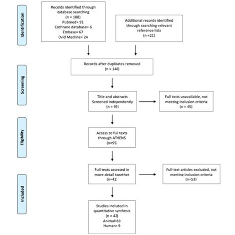 Modified Bromage Scale Download Table