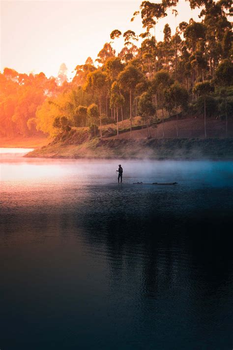 nature iphone wallpaper modern best 8
