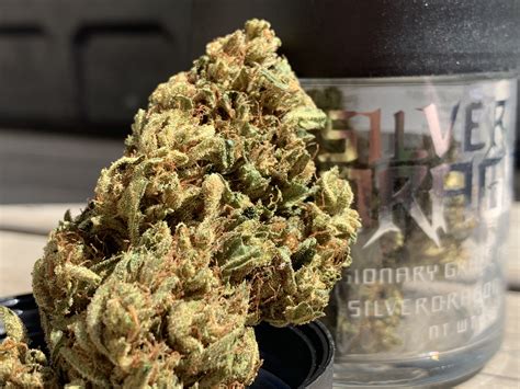 Silver Dragon Farms Og Kush 18th Kure Wellness Medical And