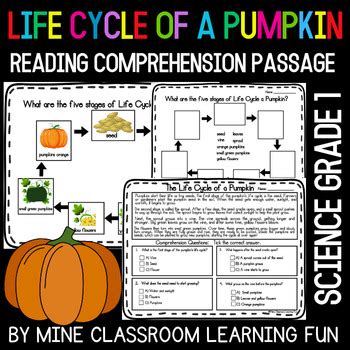 The Life Cycle A Pumpkin Reading Comprehension Passage Science Worksheets