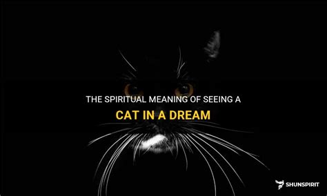 The Spiritual Meaning Of Seeing A Cat In A Dream Shunspirit