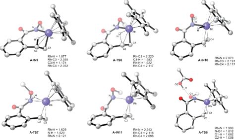 reductive tricarboxylic acid cycle | Semantic Scholar