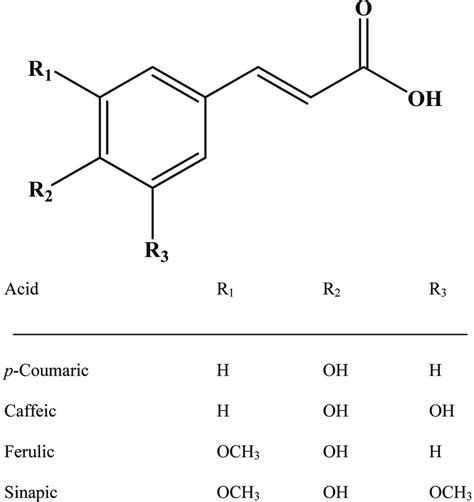 Structures Of Common Cinnamic Acid Derivatives Download Scientific