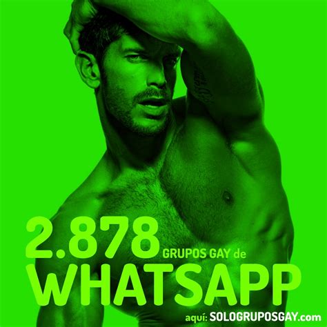 Grupos GAY De WhatsApp GAY Groups In WhatsApp Guia GAY Colombia