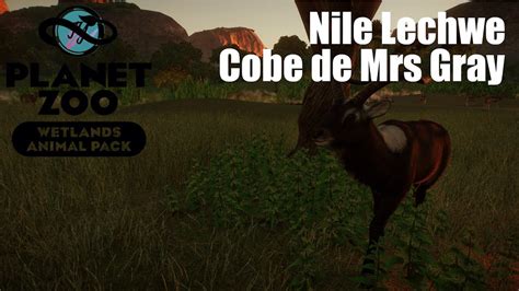 Planet Zoo Wetlands Animal Pack Nile Lechwe Cobe De Mrs Gray Youtube