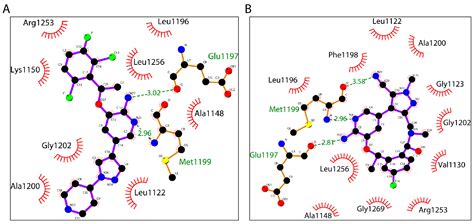 Ijms Free Full Text L F Mutation Resensitizes Crizotinib To Alk