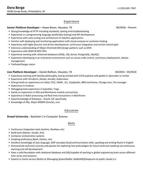 Platform Developer Resume Samples Velvet Jobs