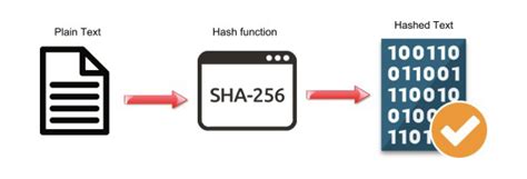 What Is Sha 256 Algorithm Minerium