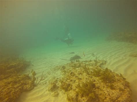 Padi Rescue Diver Course Key Largo Dcim Gopro Gopr Flickr