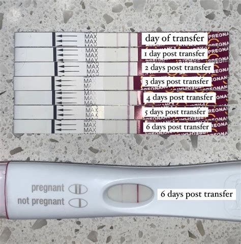 Ivf Fet Line Progression 0 6 Dpt Of Two Day 6 Embryos Pregmate Strips And Frer Stick At The